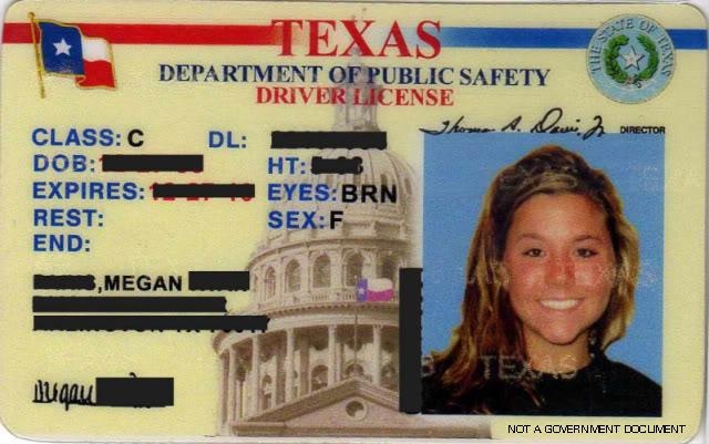 Driver s license holograms for sale